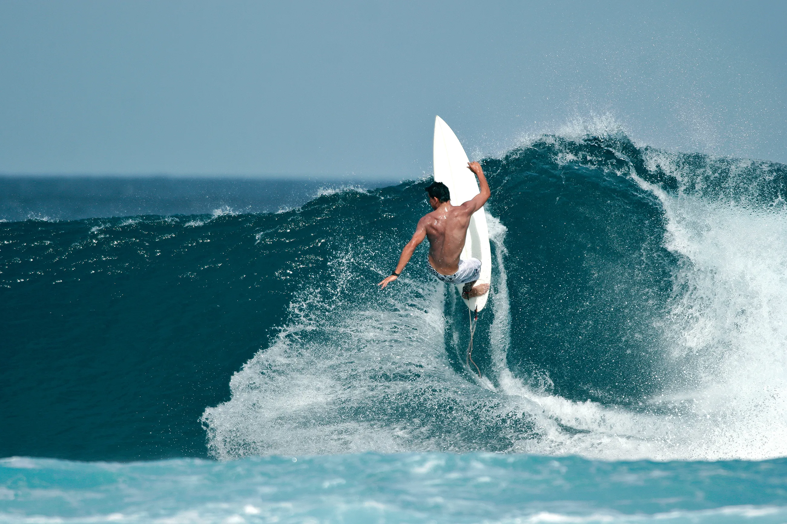 Surfing Paradise